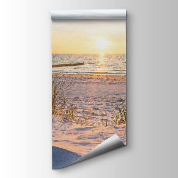 Beach with grass and a body of water