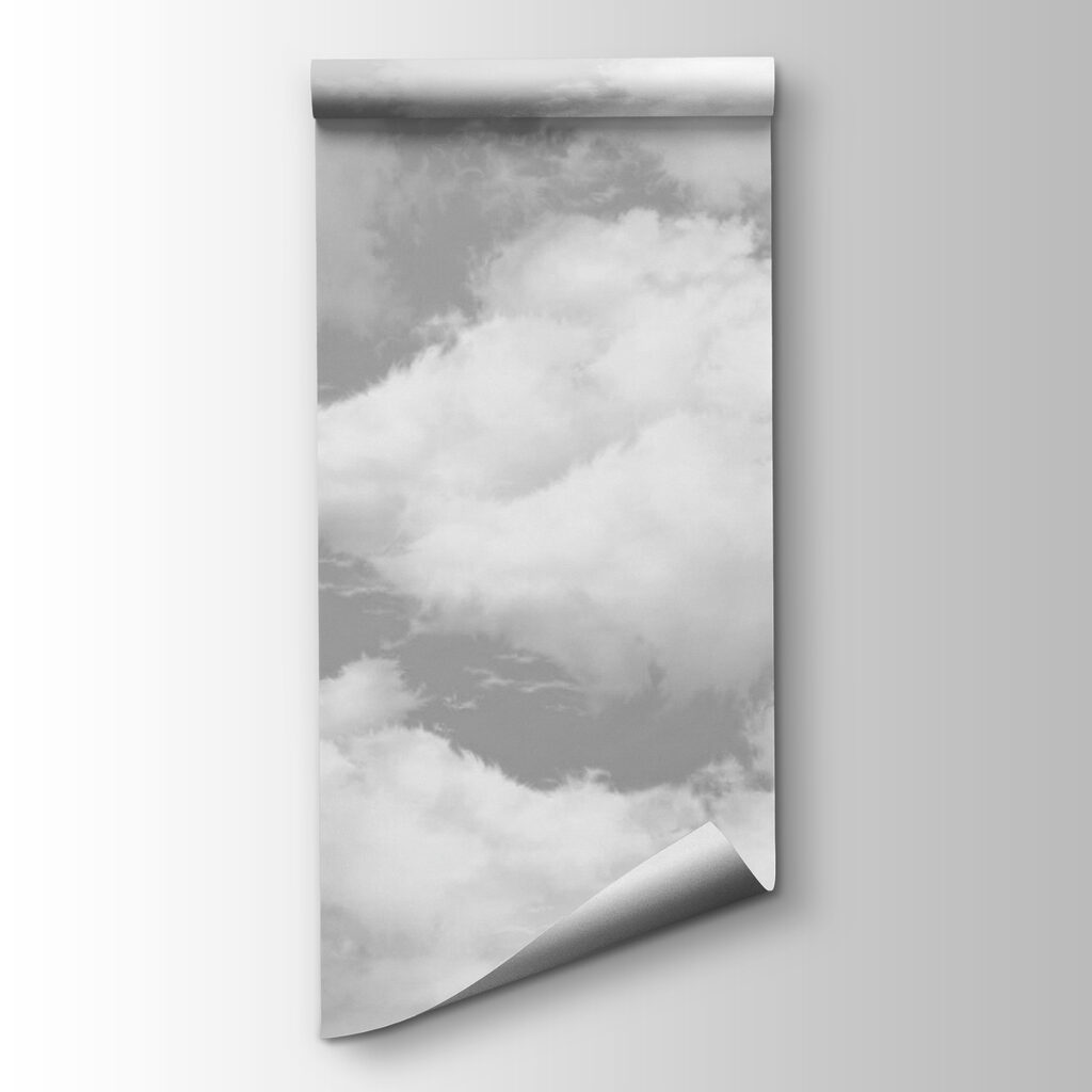 Group of clouds in the sky