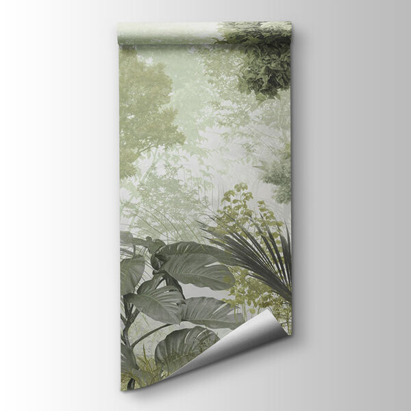 A group of trees and plants in a foggy forest