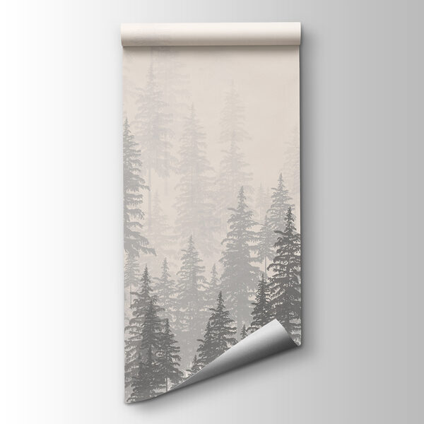 A group of trees in a forest A group of trees in a forest