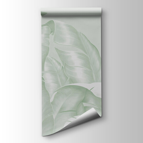 A close up of leaves