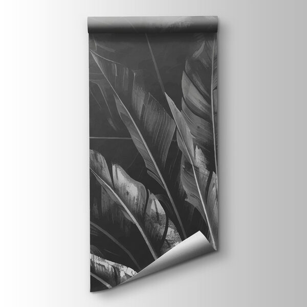 Close up of leaves Close up of leaves