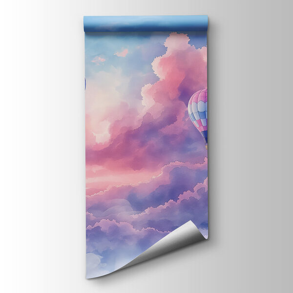 Hot air balloons in the sky