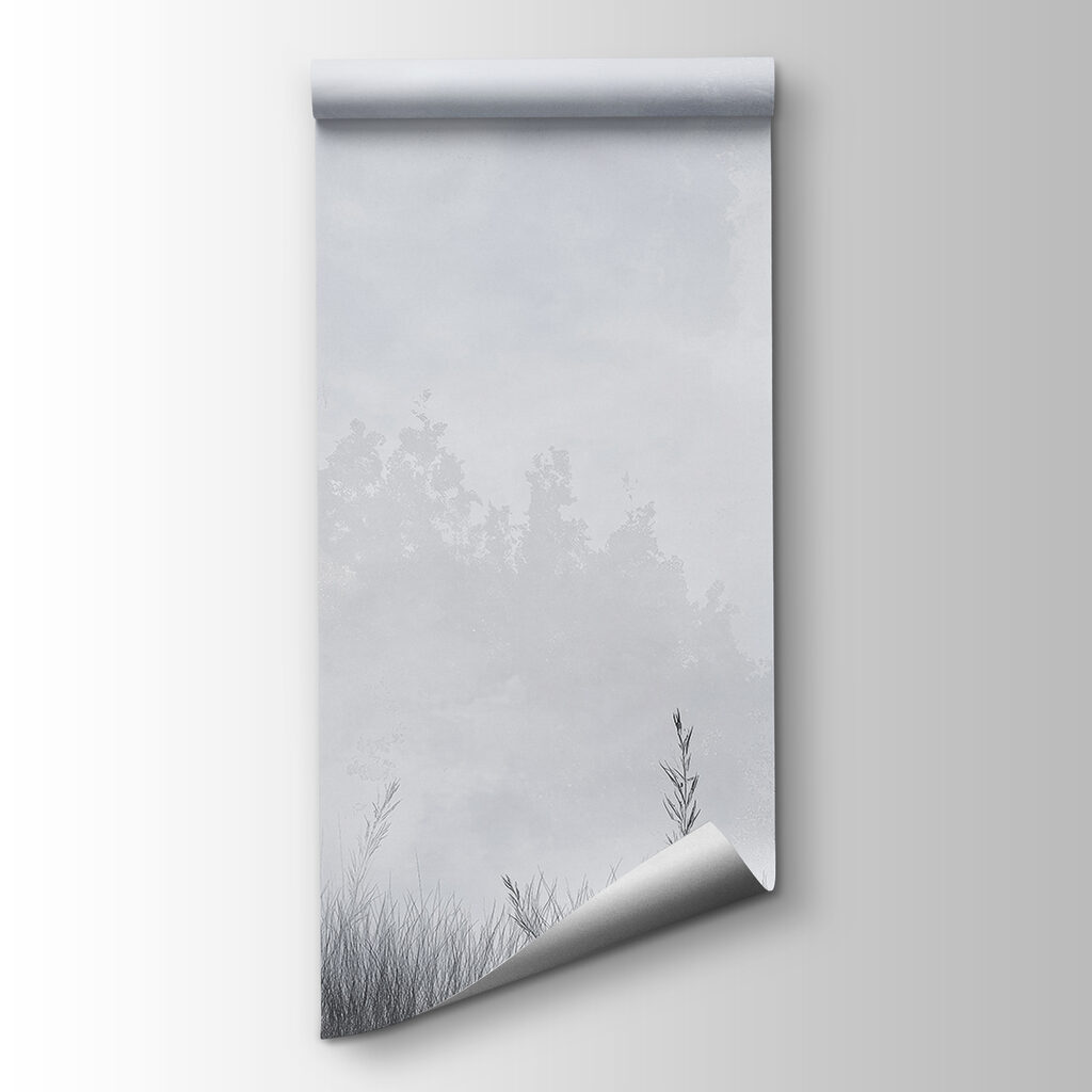 Foggy landscape with trees and grass