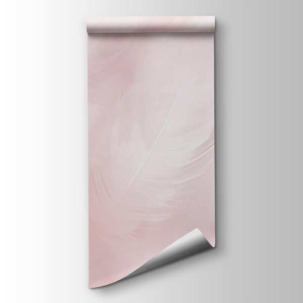 Close up of feathers Close up of feathers