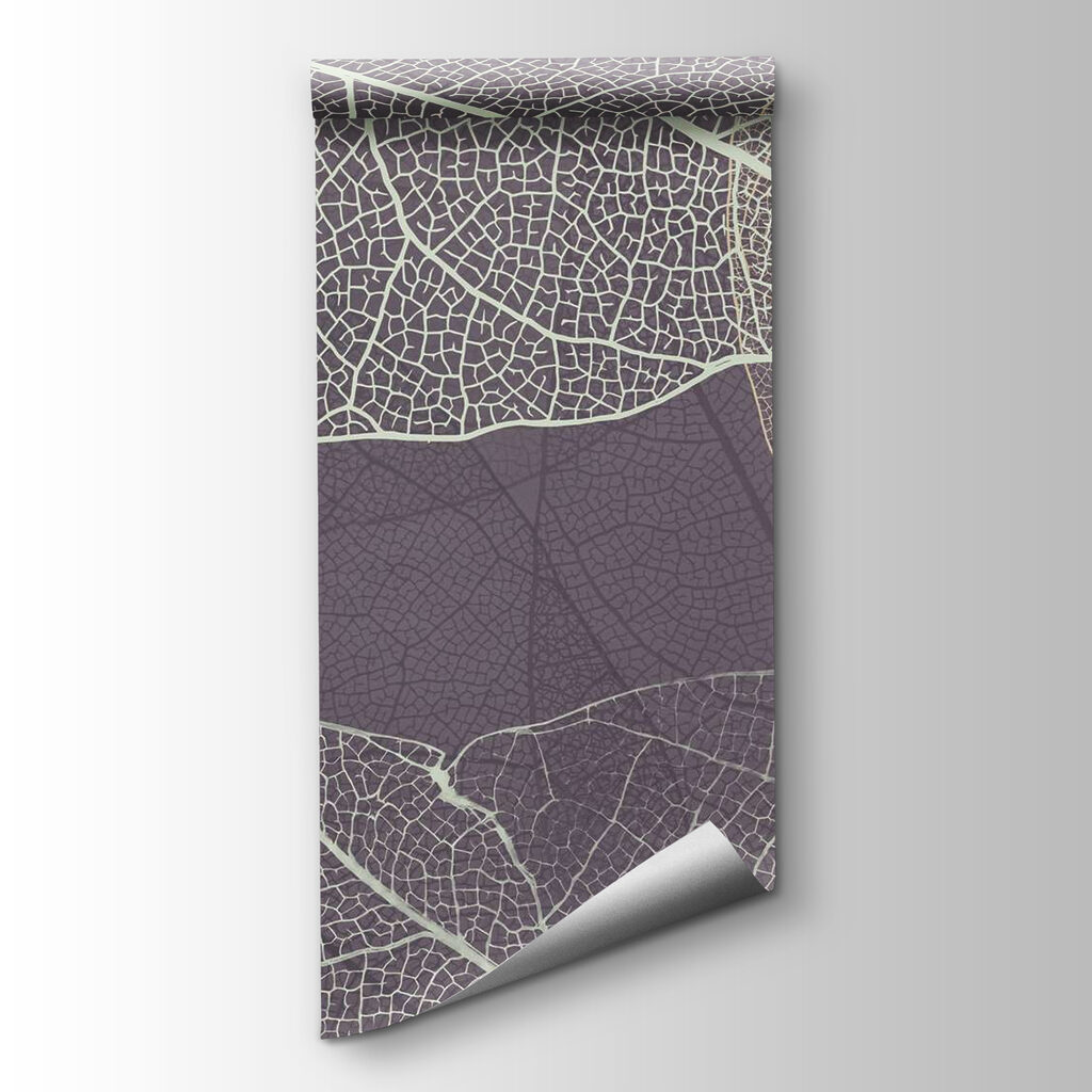 Nature's delicate leaf patterns revealed Nature's delicate leaf patterns revealed