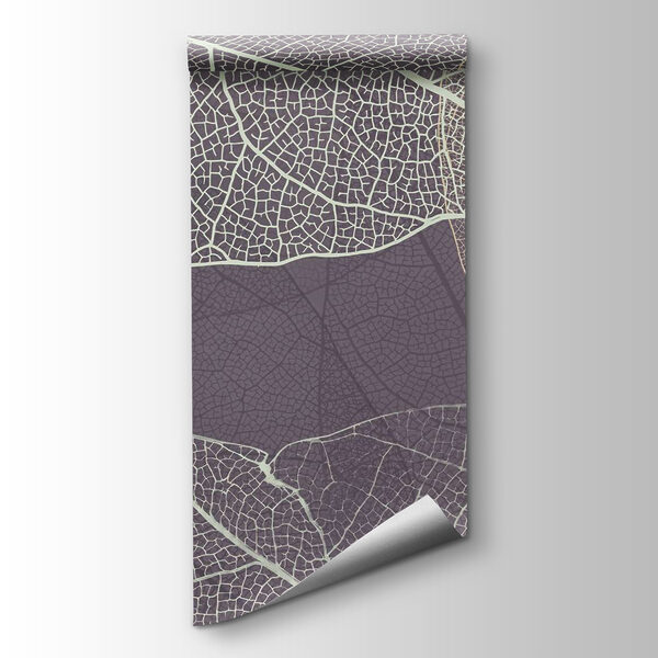 Nature's delicate leaf patterns revealed Nature's delicate leaf patterns revealed