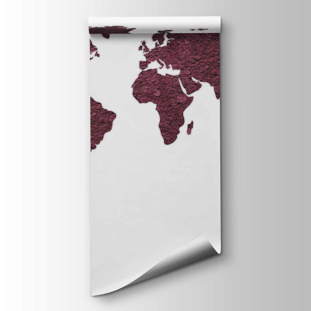 Map of the world