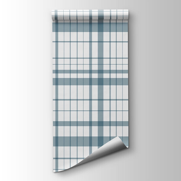 Blue and white plaid Blue and white plaid