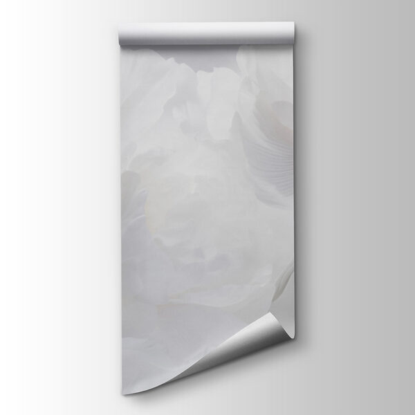 Group of white flowers