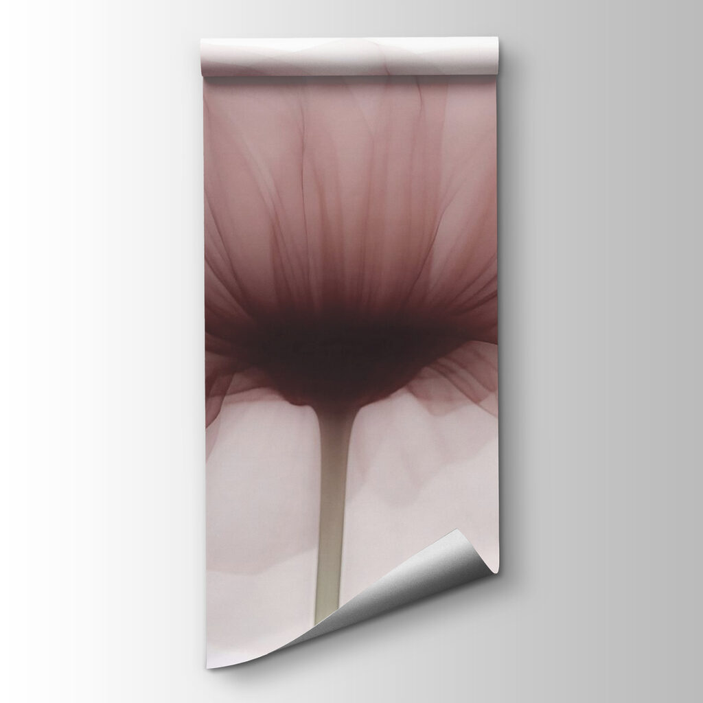 Flower with a transparent flower Flower with a transparent flower