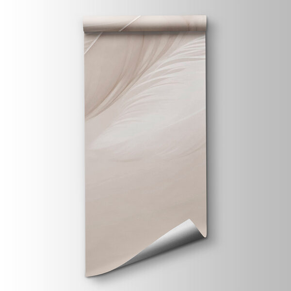 Delicate feathers on soft backdrop Delicate feathers on soft backdrop