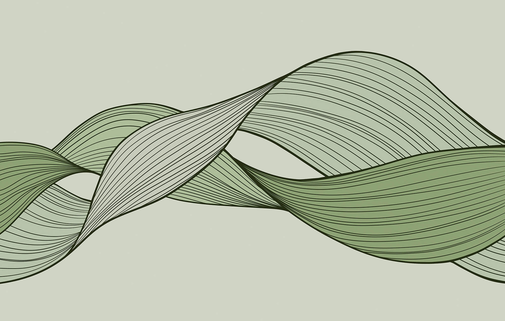 Green and black wavy lines Green and black wavy lines