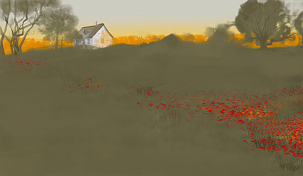 Field of red flowers with a house in the background