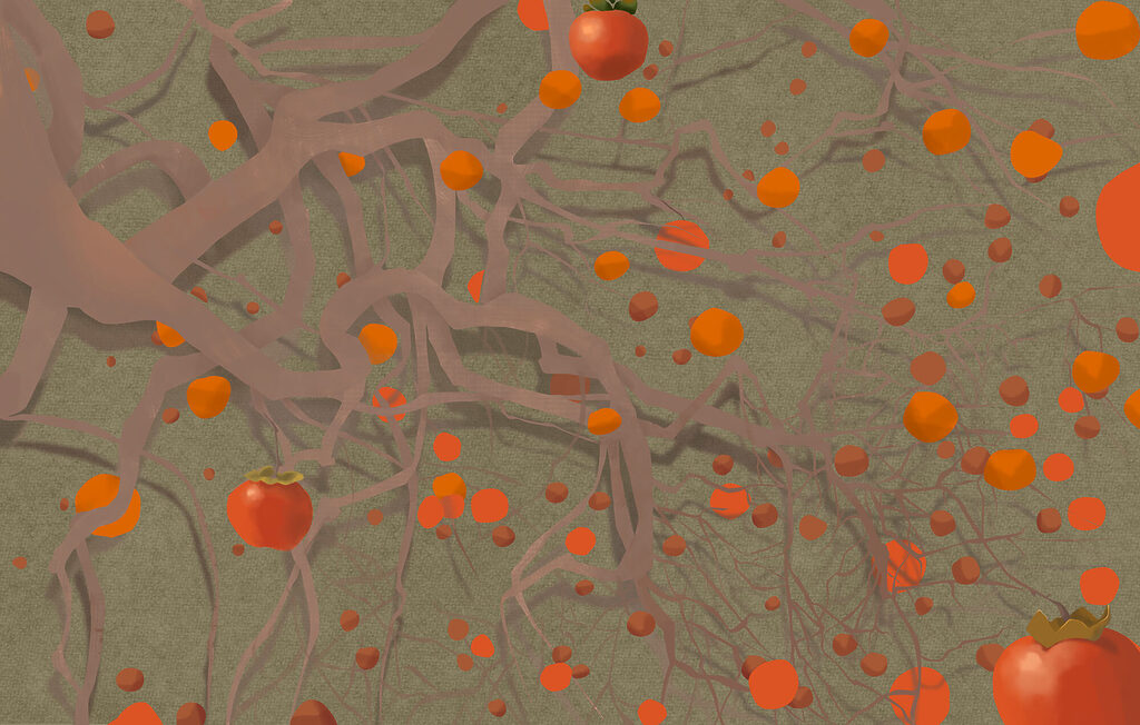 Tree with orange fruits