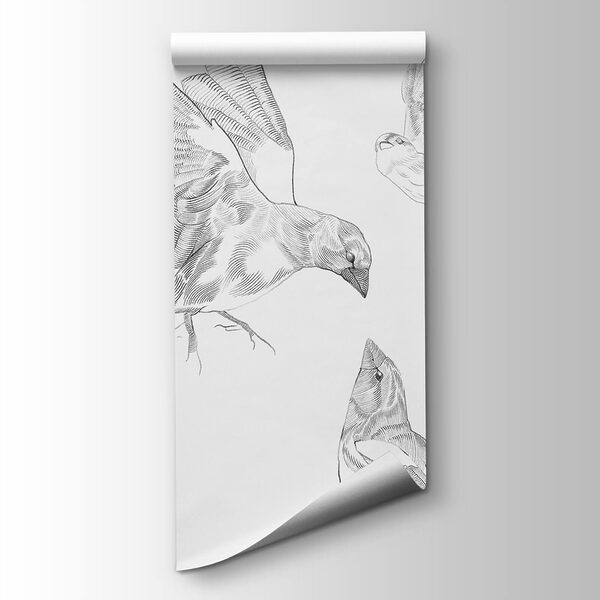 Group of birds with wings Group of birds with wings