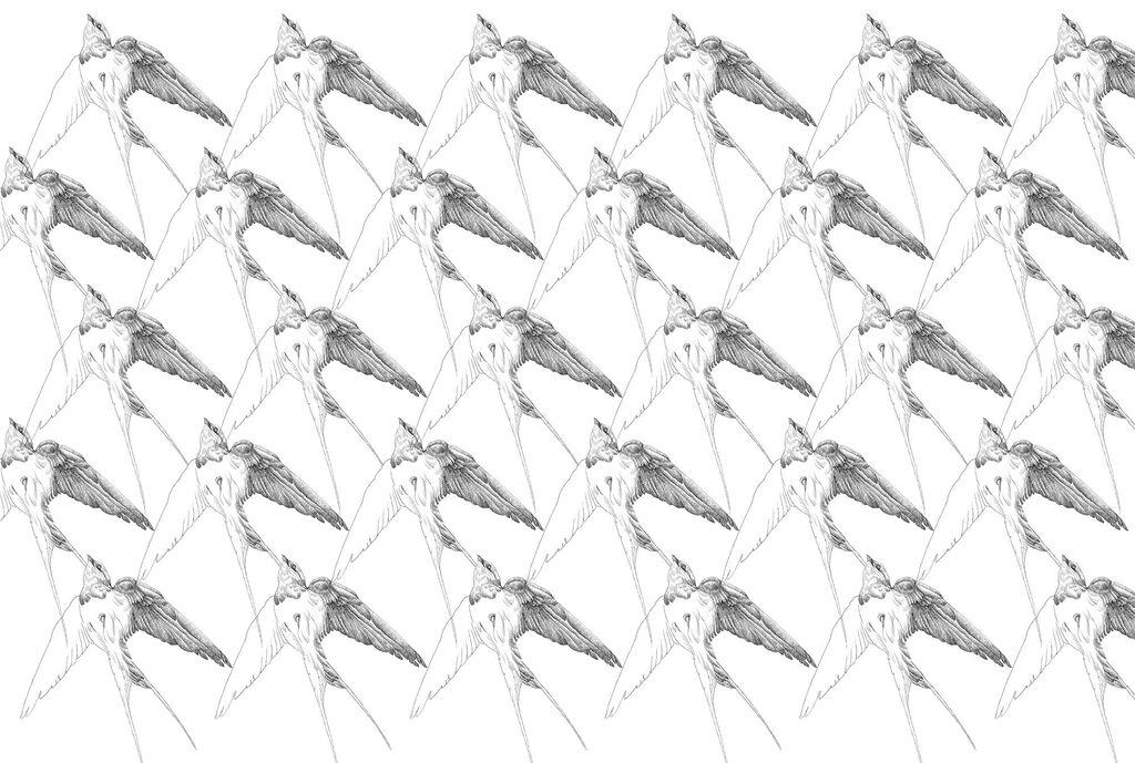 Group of birds with wings