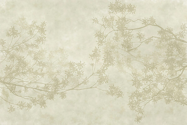 Tree branches with leaves