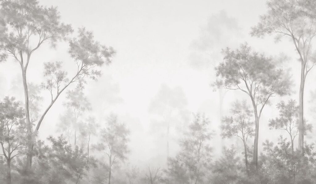 Foggy forest with trees
