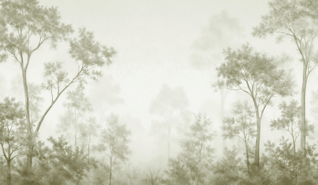 Foggy forest with trees
