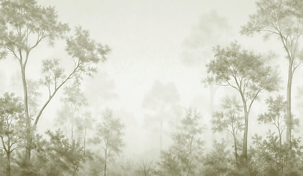 Foggy forest with trees
