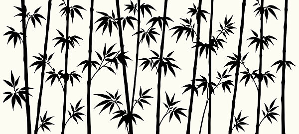 Silhouette of bamboo trees Silhouette of bamboo trees