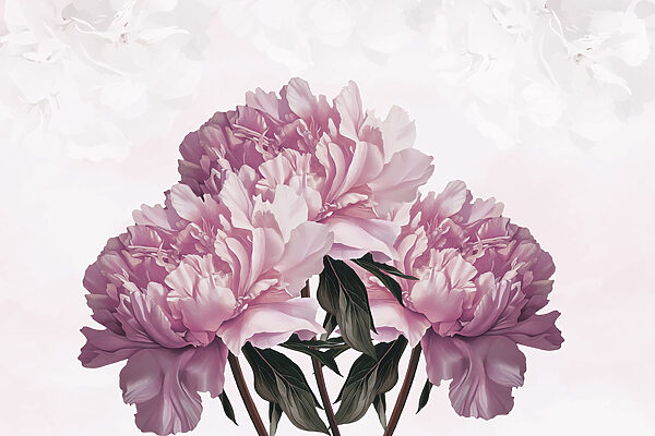 Blooming peonies in soft hues