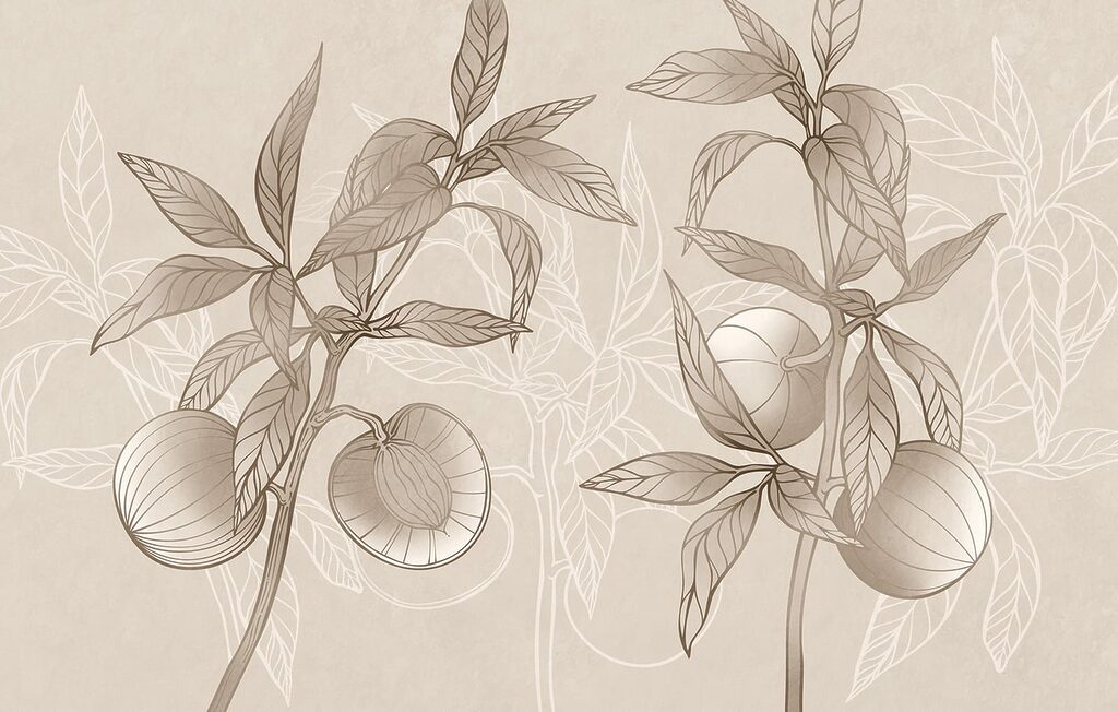 Drawing of a plant with leaves and fruit