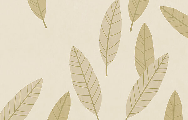 Pattern of leaves on a white background