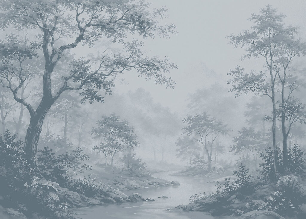 River running through a forest