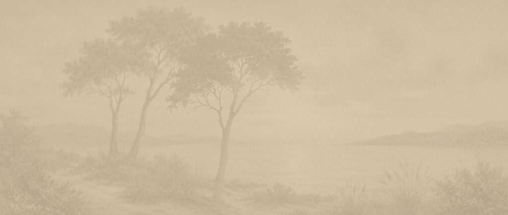 Tree in a foggy landscape