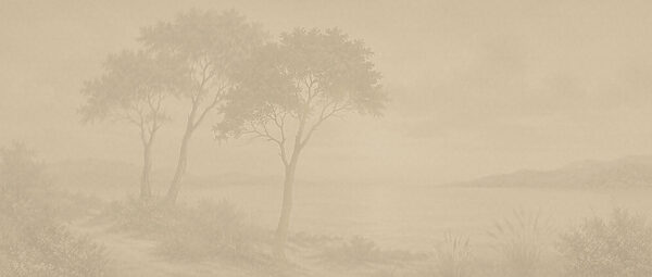 Tree in a foggy landscape