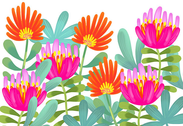 Group of colorful flowers