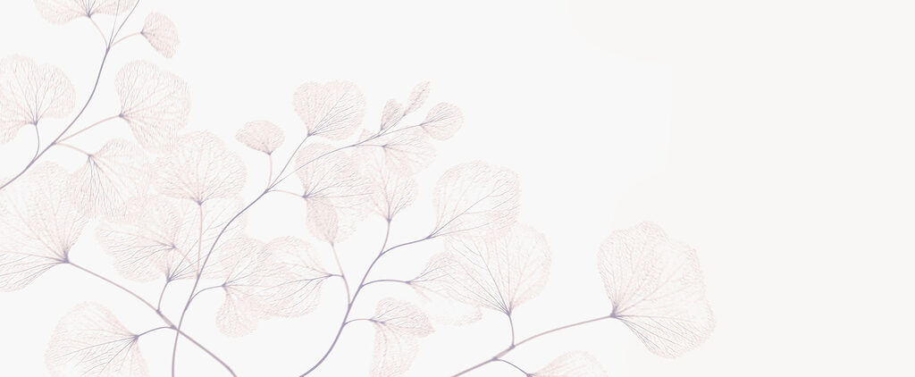 Delicate leaves on soft background Delicate leaves on soft background