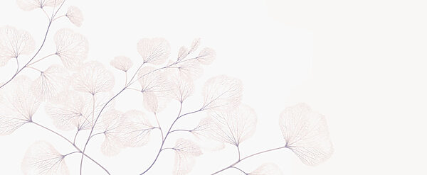 Delicate leaves on soft background Delicate leaves on soft background