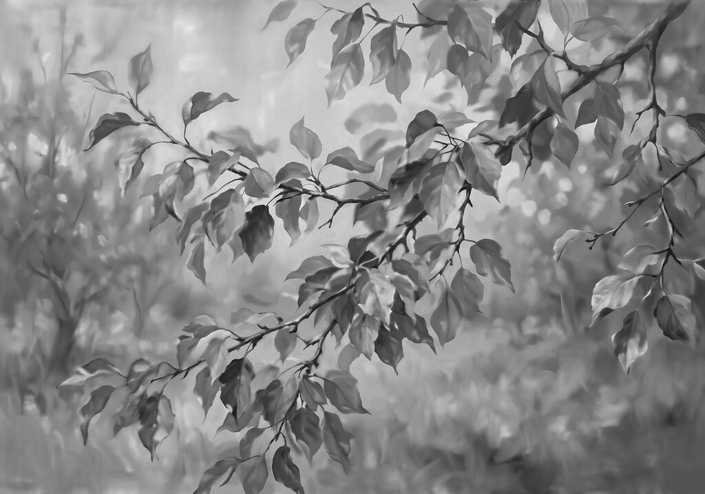 Black and white image of a tree branch with leaves