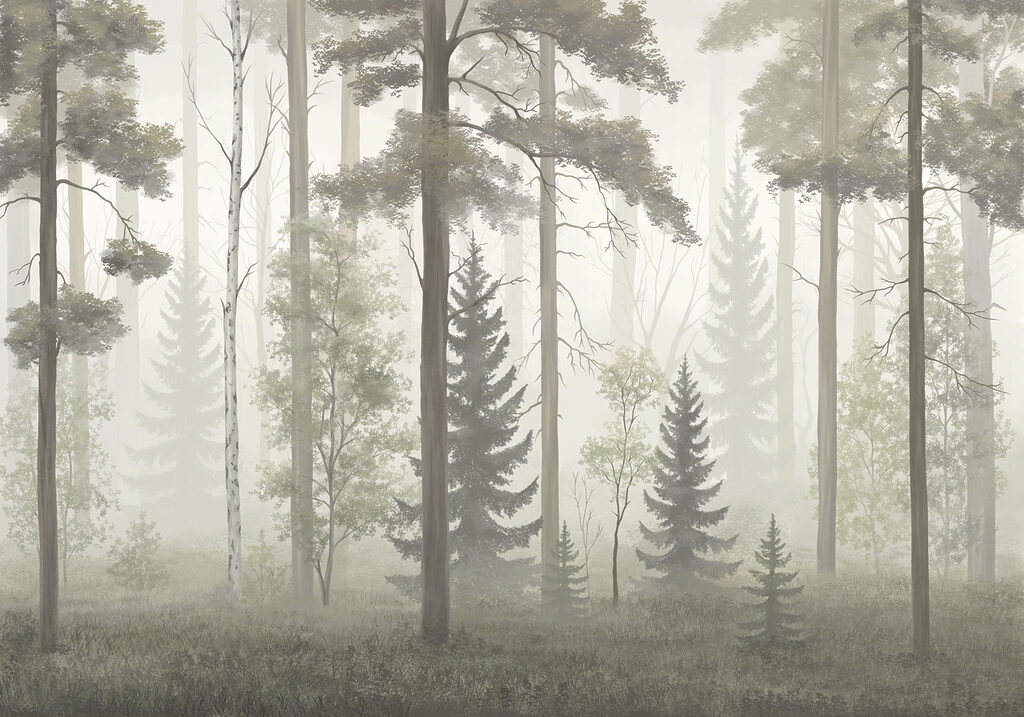 Foggy forest with trees