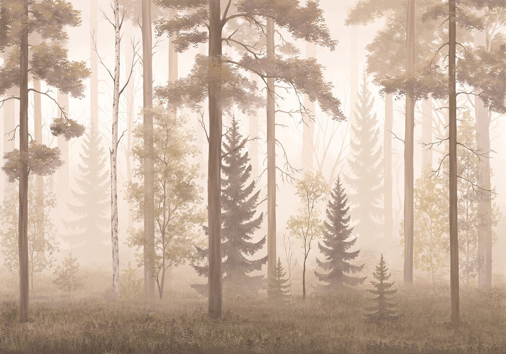 Foggy forest with trees Foggy forest with trees