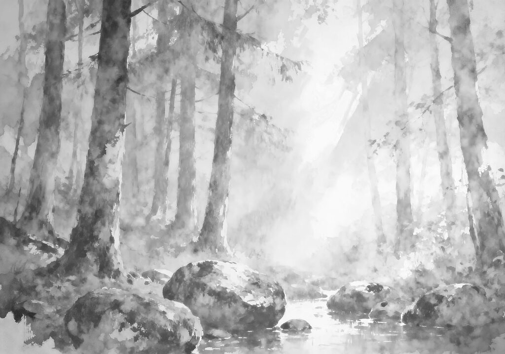 River with rocks in the middle of a forest River with rocks in the middle of a forest