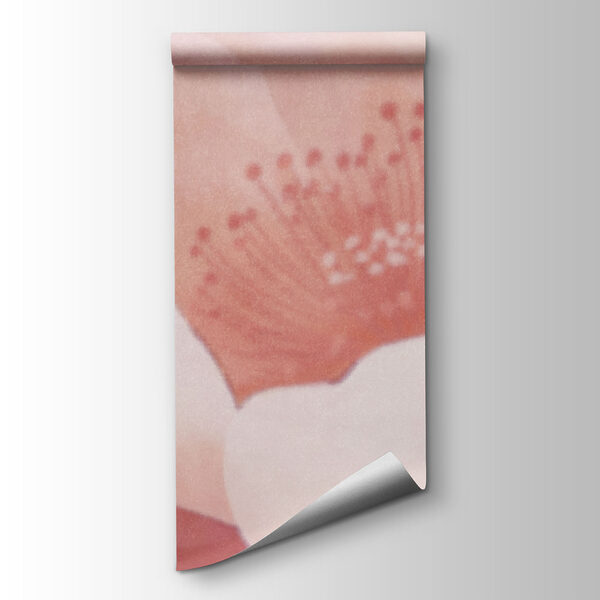 Delicate bloom in soft pastel hues Delicate bloom in soft pastel hues