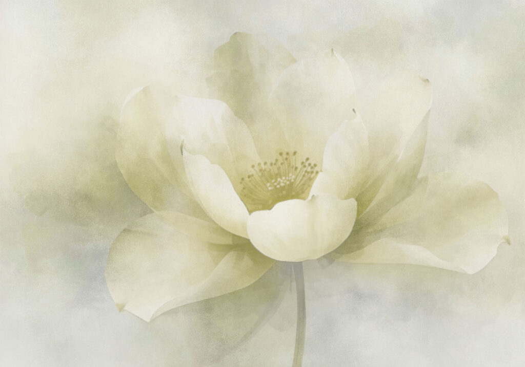 Delicate beauty in soft hues Delicate beauty in soft hues