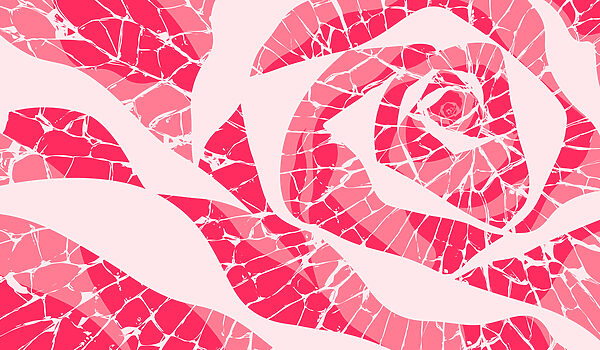 Papel de parede Padrão rosa e branco (REF: t01035v4)