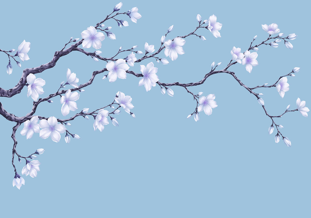 Papel de parede Ramo com flores brancas (REF: t01044v1) Papel de parede Ramo com flores brancas (REF: t01044v1)
