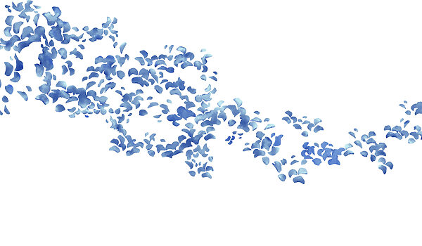 Papel de parede Pétalas de flores azuis sobre um fundo branco (REF: t01140) Papel de parede Pétalas de flores azuis sobre um fundo branco (REF: t01140)